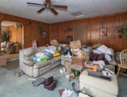 Messy Living Room Images