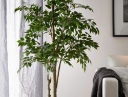 Faux Living Room Plants