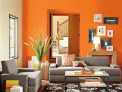 Orange Colour Combination For Living Room