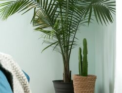 Large Fake Plants For Living Room