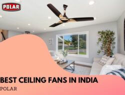 Best Ceiling Fans For Living Room India