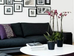 Black White And Purple Living Room