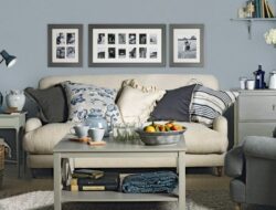 Bluish Gray Living Room Walls