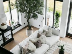 White Living Room Plants