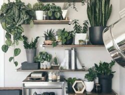 Living Room Plant Shelf