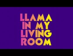 Aronchupa Llama In My Living Room Lyrics