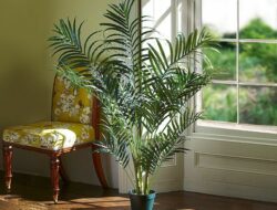 Artificial Plants For Living Room India