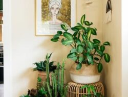 Plant Corner Living Room
