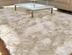 Best Soft Carpet For Living Room