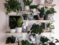 Living Room Plant Wall