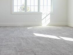 Light Gray Carpet Living Room