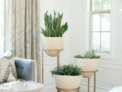 How To Decorate The Living Room With Plants