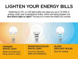 Best Type Of Light Bulb For Living Room