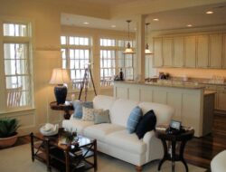 Living Room & Kitchen Combo Design