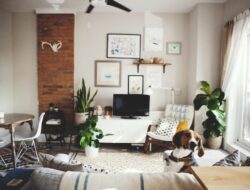 Small Urban Living Room Ideas