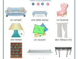 Describe Your Living Room In French