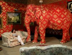 Elephant In Your Living Room