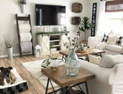 Small Living Room Farmhouse Ideas