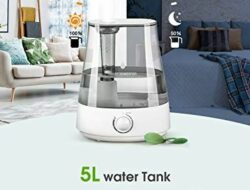 Humidifier For Large Living Room