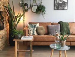 Where To Place Plants In Living Room