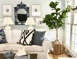 Fig Tree In Living Room