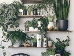 Living Room Wall Plants