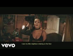 Llama In My Living Room Video Song Download