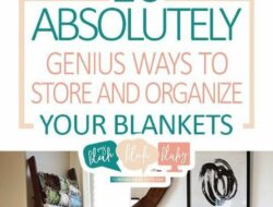 Living Room Throw Blanket Storage Ideas