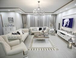 Fancy Modern Living Room