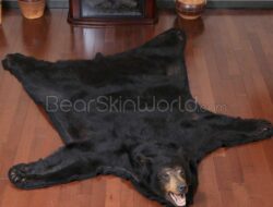 Real Bear Rugs For Living Room