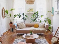 Living Room Plants India