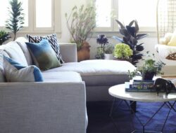 Dark Blue Carpet Living Room