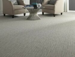 Best Type Of Carpet For Living Room