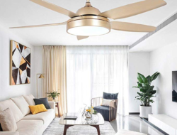 Best Ceiling Fans With Lights For Living Room