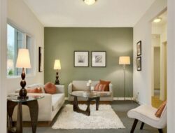Olive Green Accent Wall Living Room