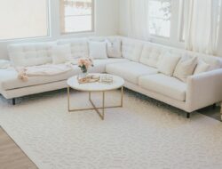 Neutral Living Room Area Rugs