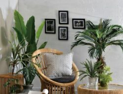 How To Decorate Small Living Room With Plants