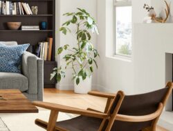 Living Room Lounge Furniture