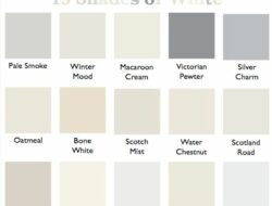 Shades Of White Paint For Living Room