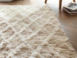 Plush Carpet For Living Room
