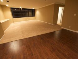 Half Carpet Half Laminate Living Room