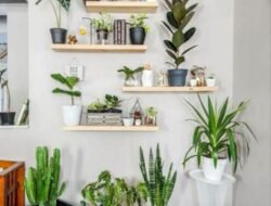 Home Decor Plants Living Room