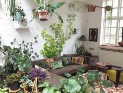 Best House Plant For Living Room