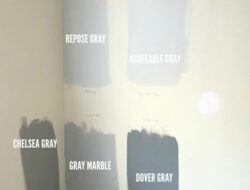 Popular Gray Paint For Living Room