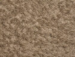 Living Room Carpet Texture