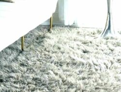 Big Shaggy Rugs For Living Room