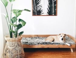 Living Room Furniture Pet Friendly