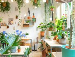 How To Arrange Indoor Plants In Living Room