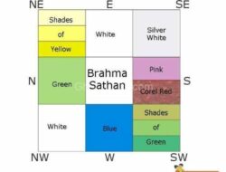 Wall Colour Combination For Small Living Room As Per Vastu