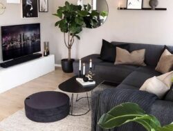 Apartment Living Room Interior Design Photos